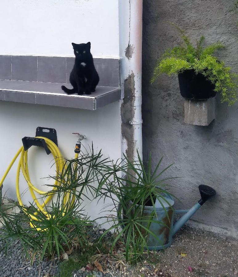 Chambre Avec Cuisine Et Sdb Semi-Privatives Separees Dans Un Ecrin De Verdure Les Abymes Exteriör bild